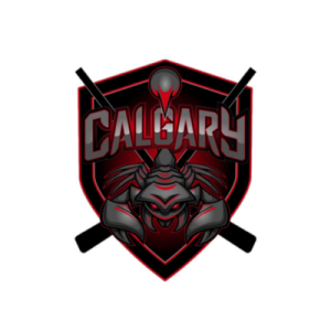 Calgary Sledge Hockey