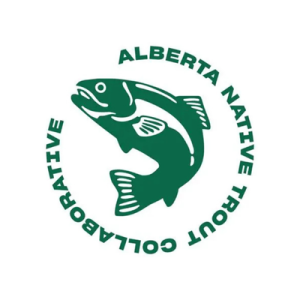 Alberta Native Trout Collaborative