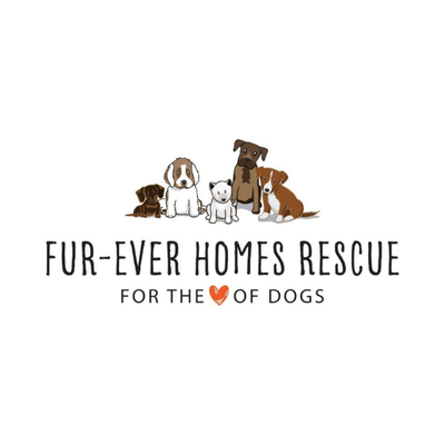 Fur-ever Homes Rescue