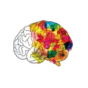 Perlin Foundation for Wellbeing