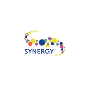 Synergy Youth and Community Development Society