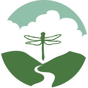 Time Out Healing Society