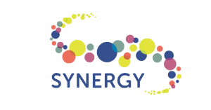 Synergy Youth and Community Development Society